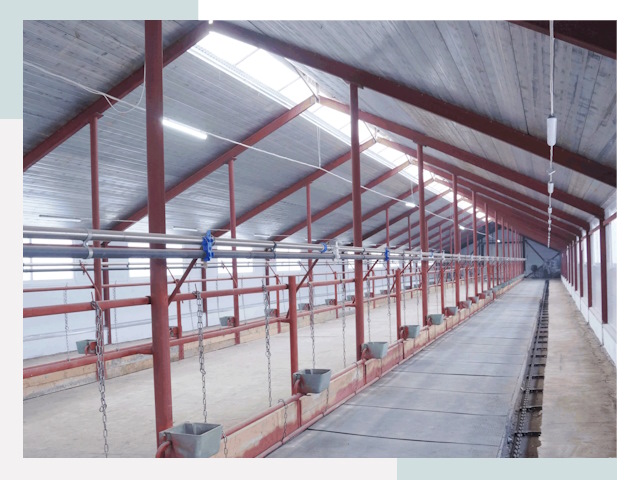 Строительство коровников в Курганинске от 624 руб.