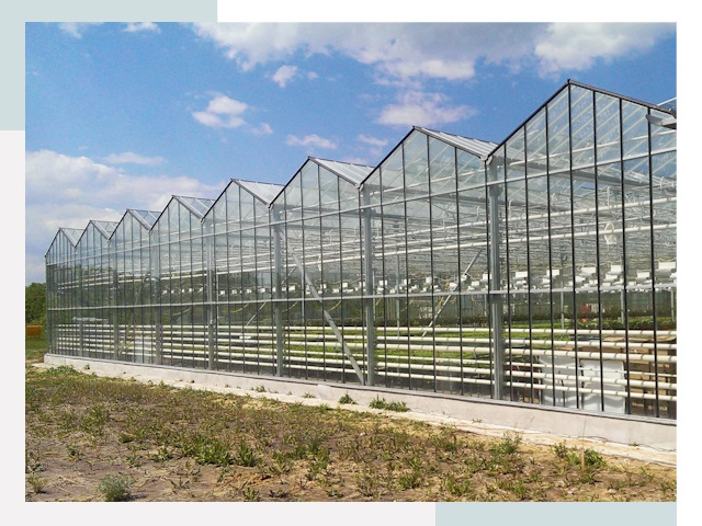 Строительство теплиц в Курганинск от 624 руб. за м²
