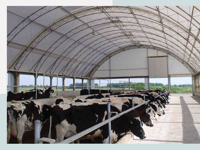 Тентовые коровники в Курганинске